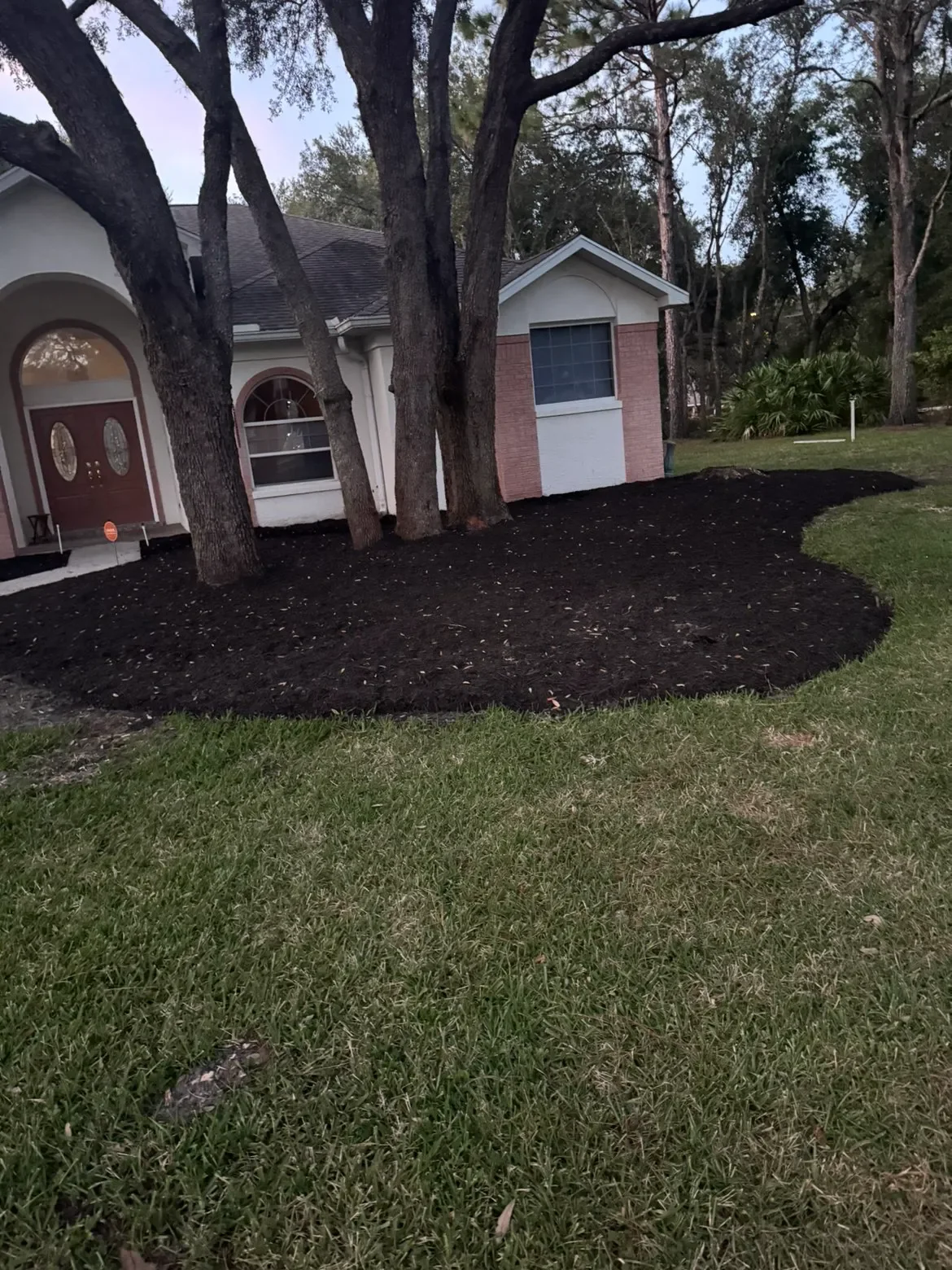 Professional Landscaping